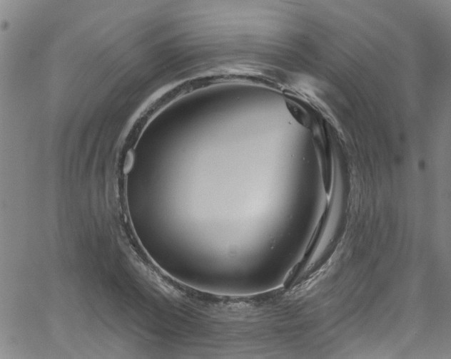 X0000058830784200510031345