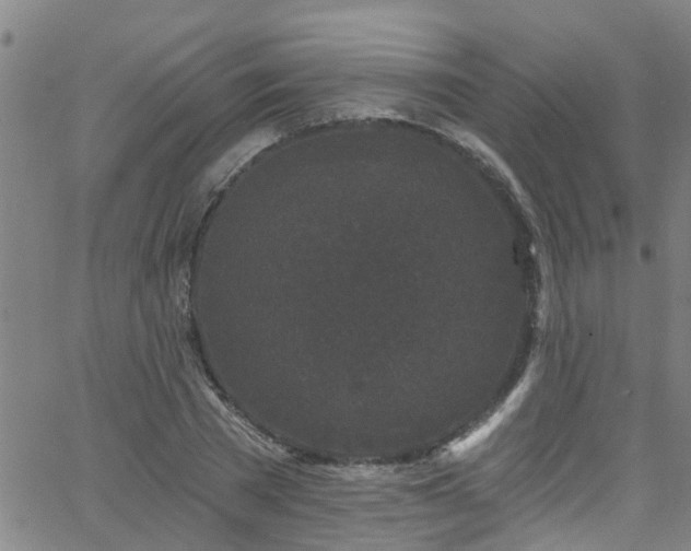 X0000058830785200510031345