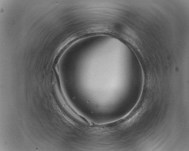 X0000058830786200510031345