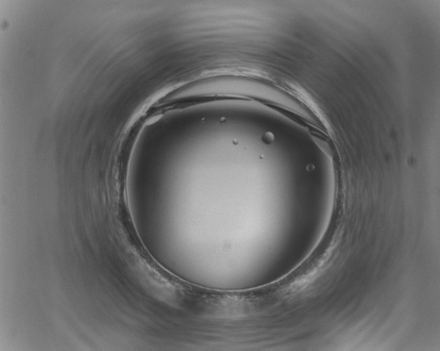 X0000058830787200510031345