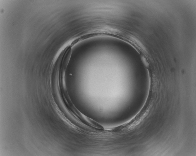 X0000058830788200510031345