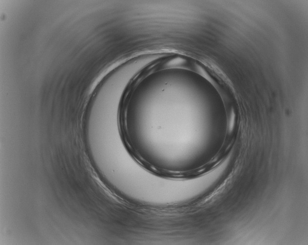 X0000058830789200510031345