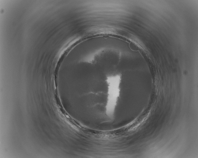 X0000058830790200510031345