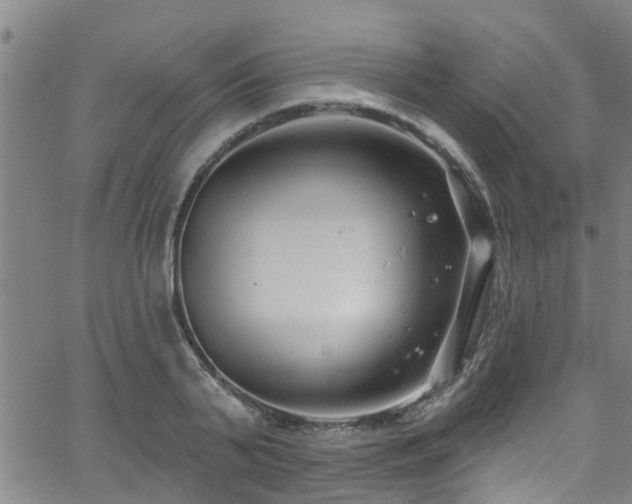 X0000058830791200510031345