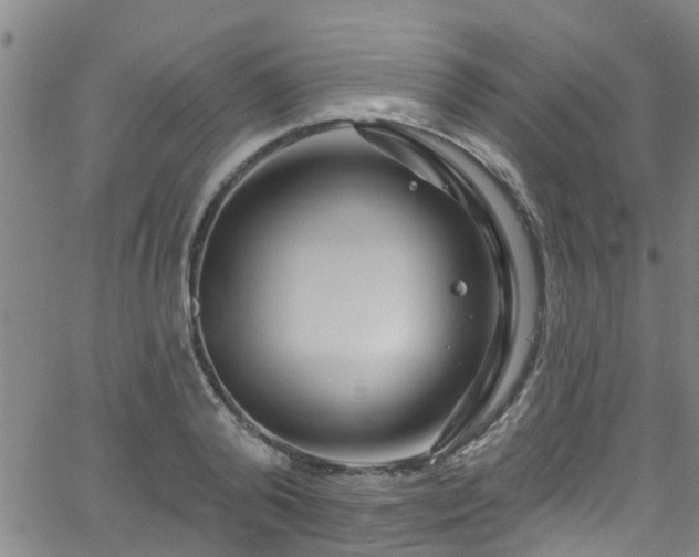 X0000058830792200510031345