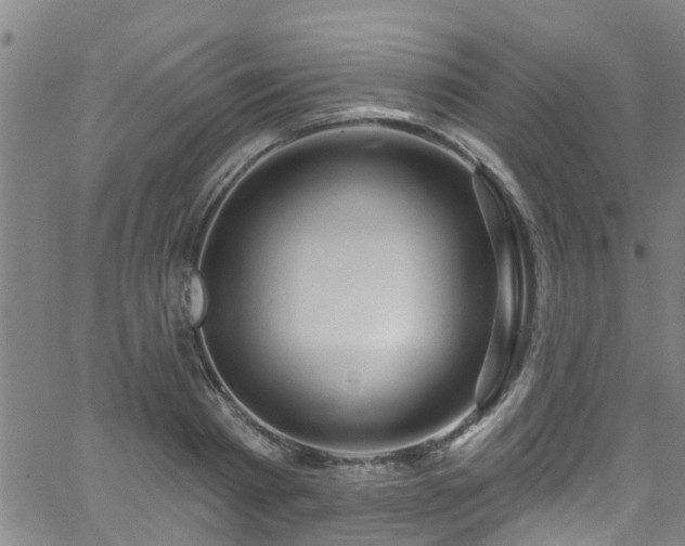 X0000058830793200510031345