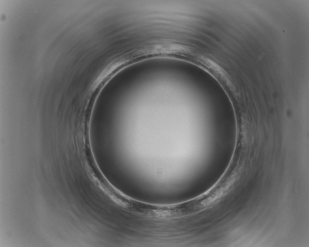 X0000058830794200510031345