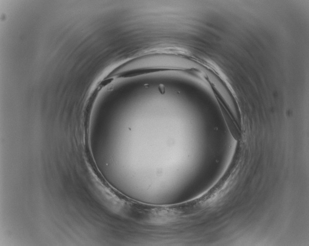 X0000058830795200510031345