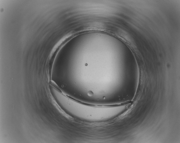 X0000058830796200510031345