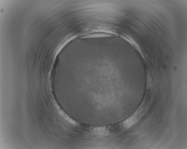 X0000058830798200510031345