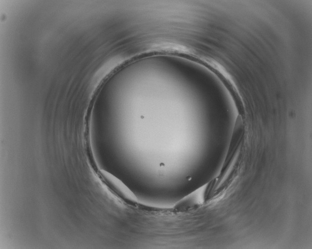 X0000058830799200510031345