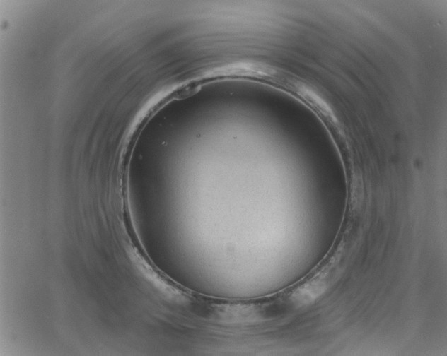 X0000058830800200510031345