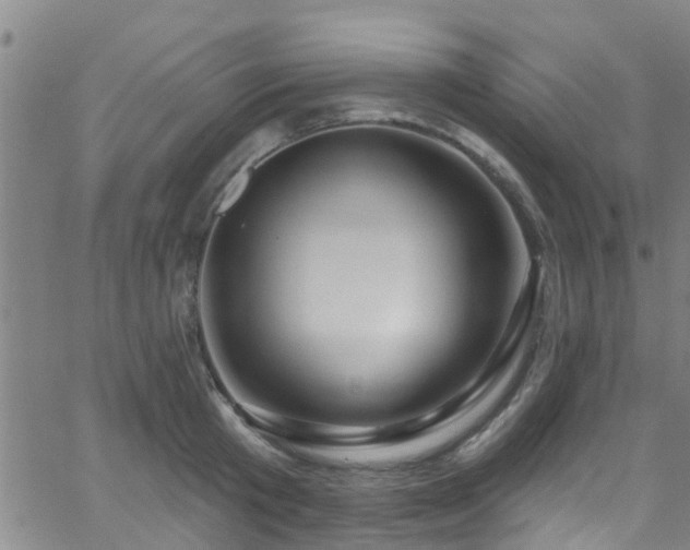 X0000058830801200510031345