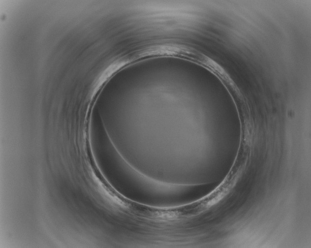 X0000058830802200510031345