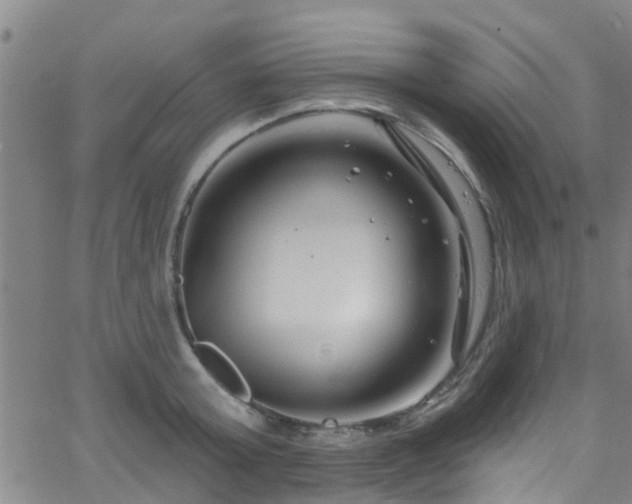 X0000058830803200510031345