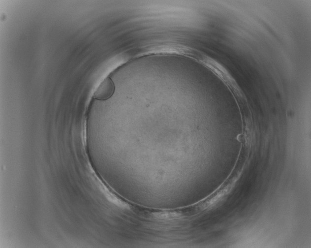 X0000058830804200510031345