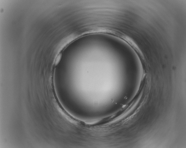 X0000058830805200510031345