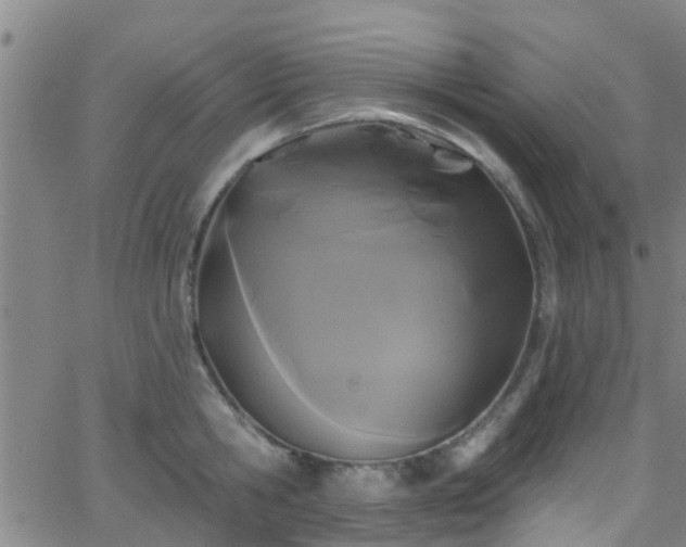 X0000058830806200510031345