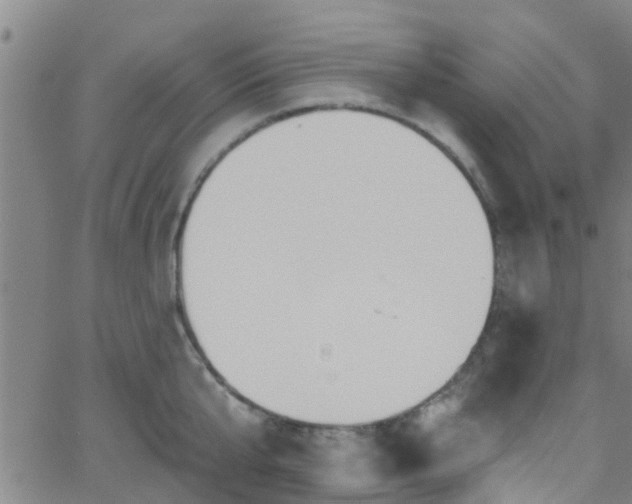 X0000058830807200510031345