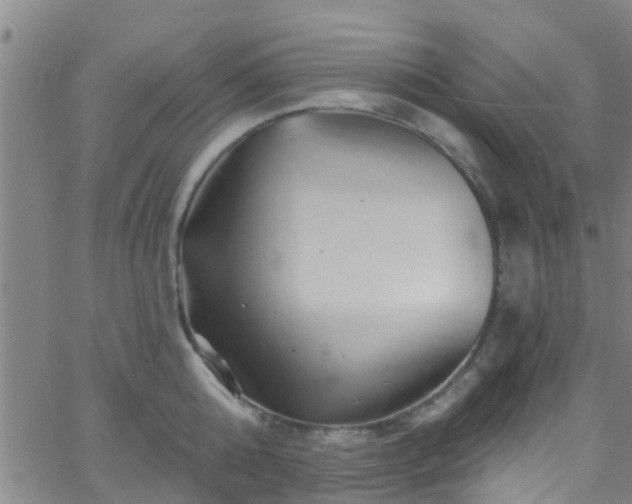 X0000058830808200510031345