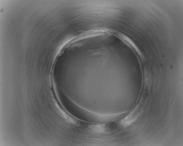 X0000058830810200510031345