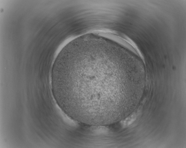 X0000058830811200510031345