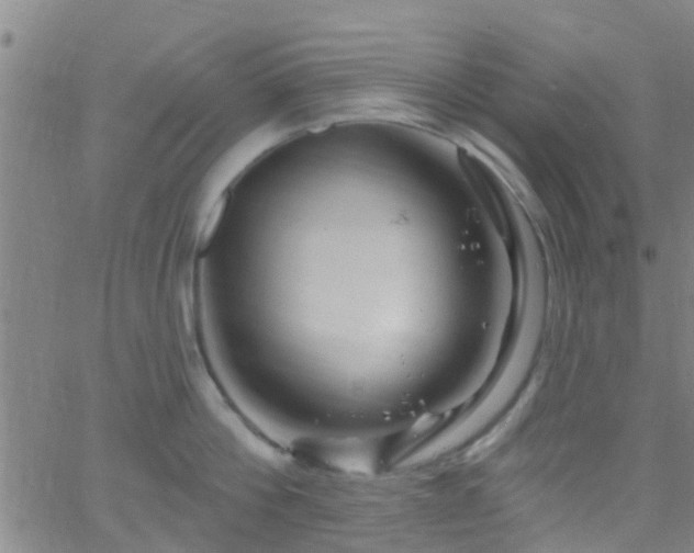 X0000058830812200510031345