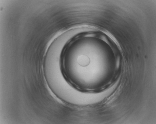 X0000058830813200510031345