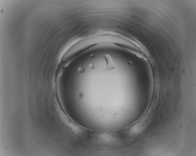 X0000058830814200510031345