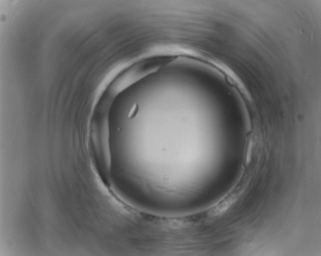 X0000058830815200510031345