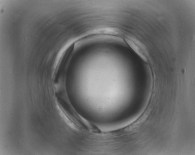 X0000058830816200510031345