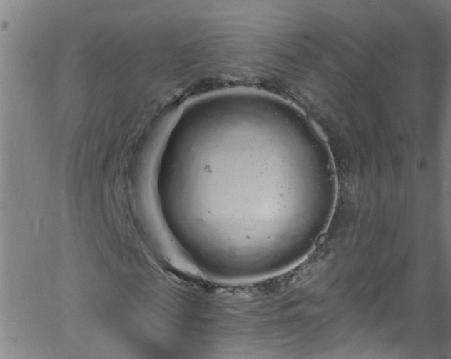 X0000058830817200510031344