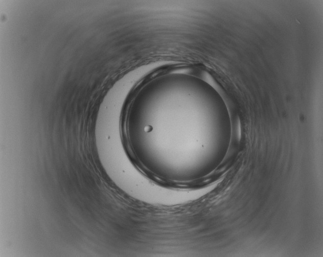 X0000058830818200510031344