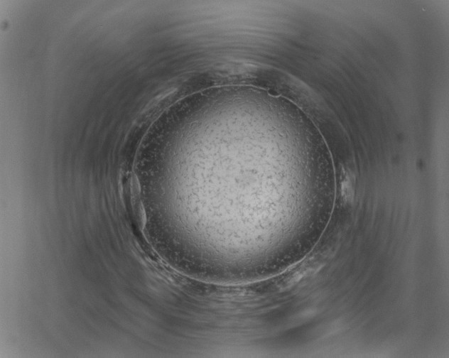 X0000058830819200510031344