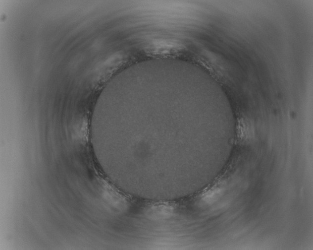 X0000058830820200510031344