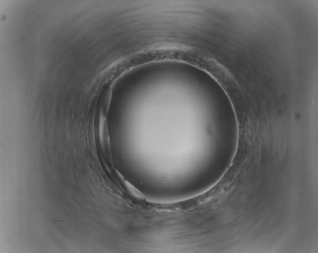 X0000058830821200510031344