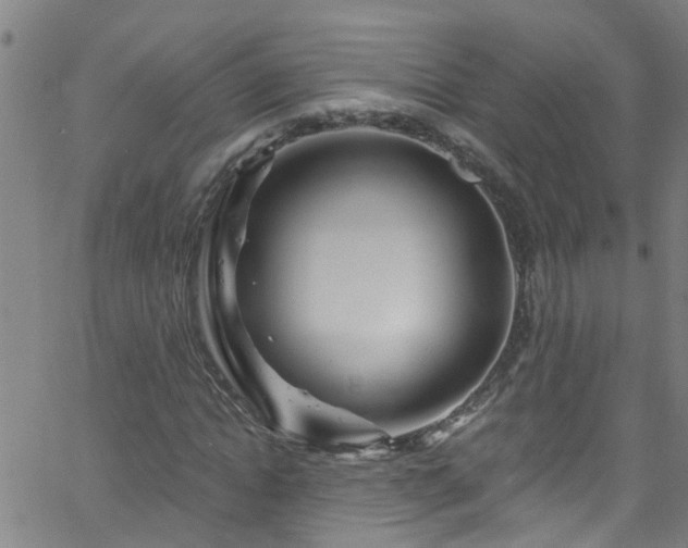 X0000058830822200510031344