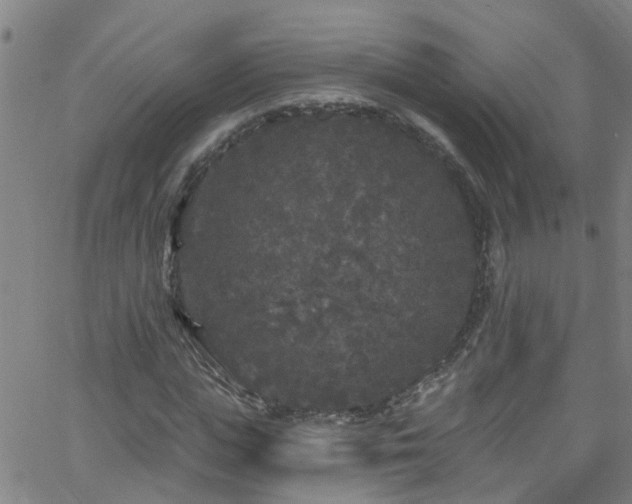 X0000058830823200510031344