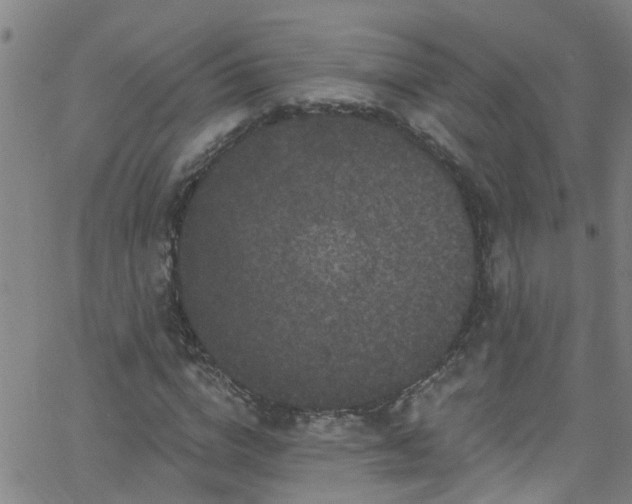 X0000058830824200510031344