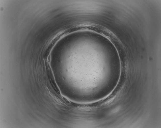 X0000058830825200510031344