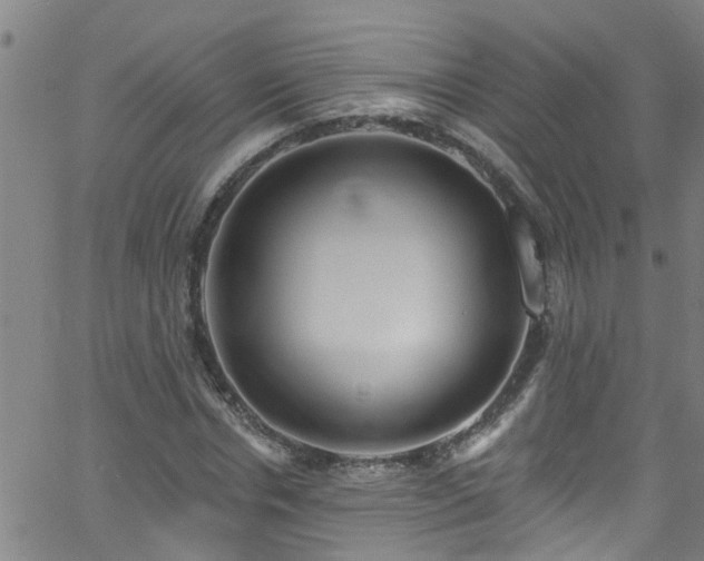 X0000058830826200510031344