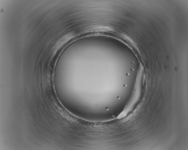 X0000058830827200510031344