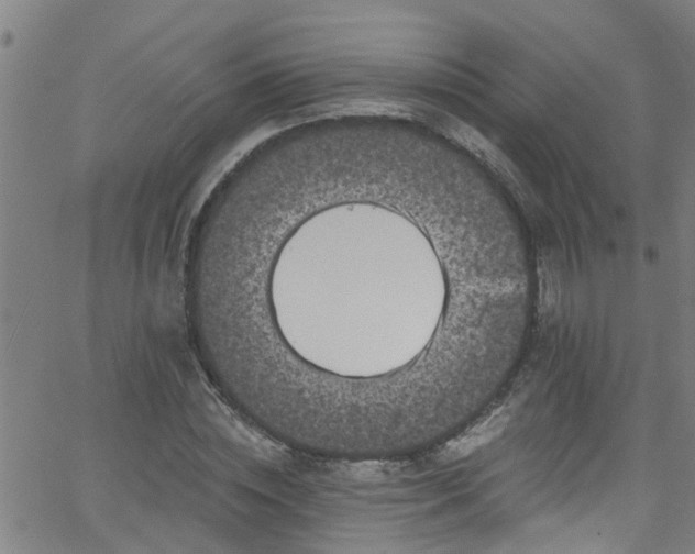 X0000058830828200510031344