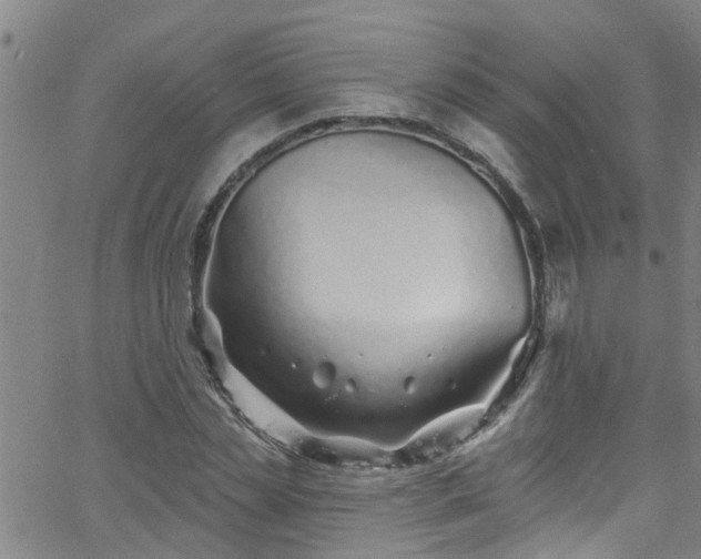 X0000058830829200510031344