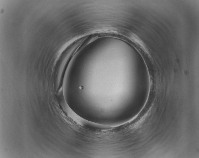 X0000058830830200510031344