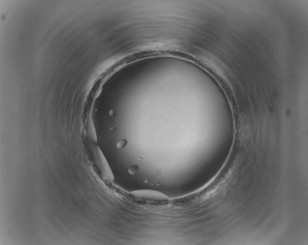 X0000058830831200510031344