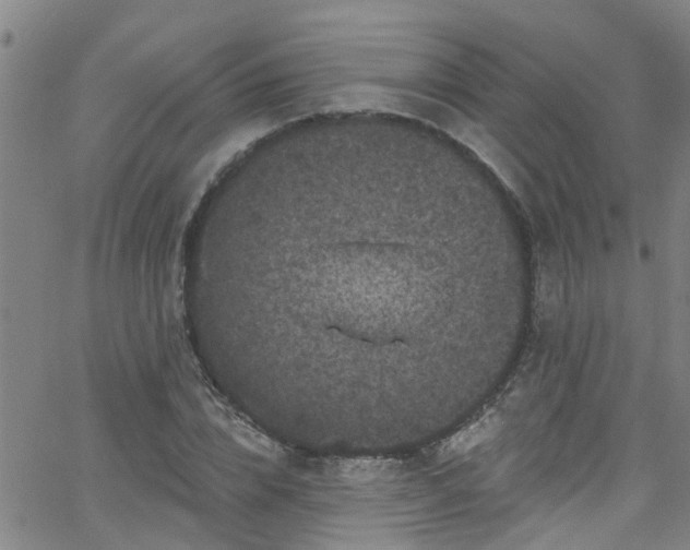 X0000058830832200510031344