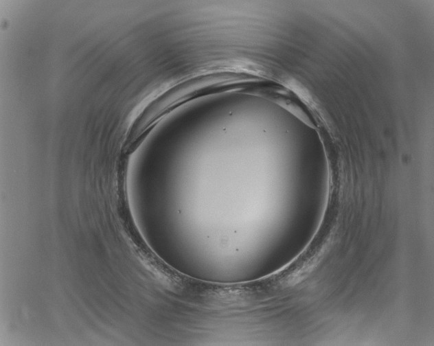 X0000058830834200510031344