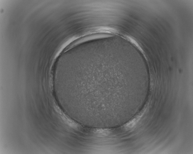 X0000058830835200510031344