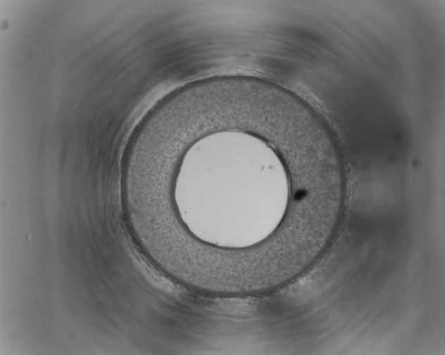 X0000058830836200510031344